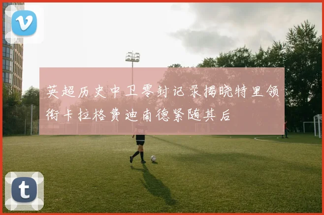 英超历史中卫零封记录揭晓特里领衔卡拉格费迪南德紧随其后