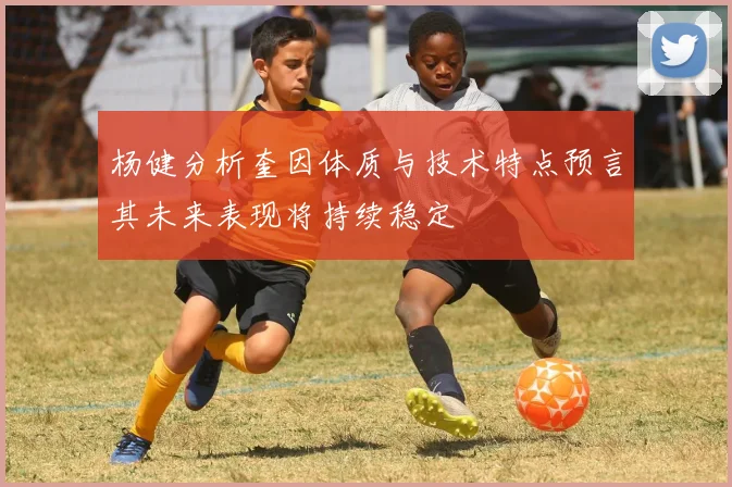 杨健分析奎因体质与技术特点预言其未来表现将持续稳定